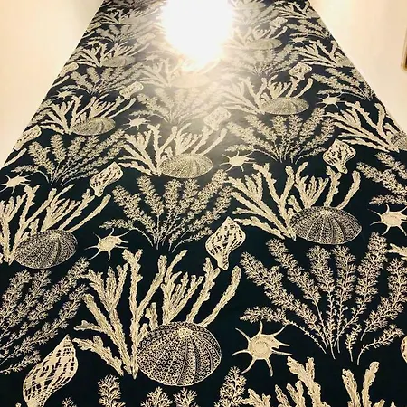 Nautilus Boutique Townhouse 宾馆