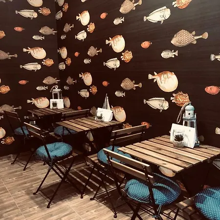 Nautilus Boutique Townhouse 宾馆 *